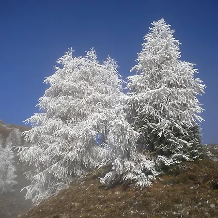 Forellenhof Waldner Apartamento Gundersheim