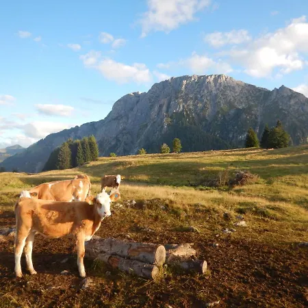 公寓 Forellenhof Waldner
