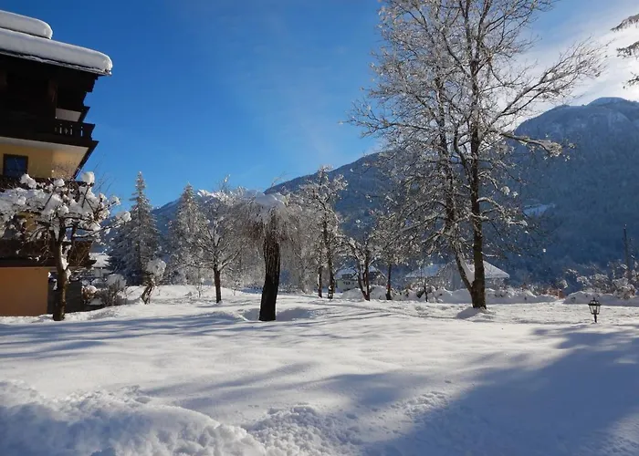 Forellenhof Waldner Apartment