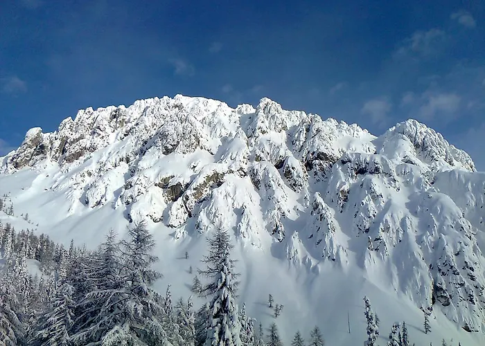 Apartment Forellenhof Waldner