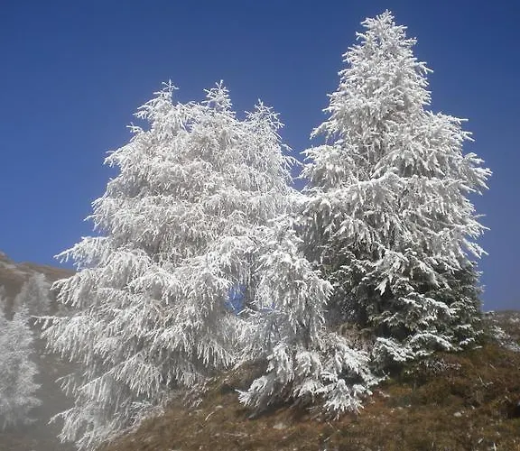 Forellenhof Waldner Apartment Gundersheim