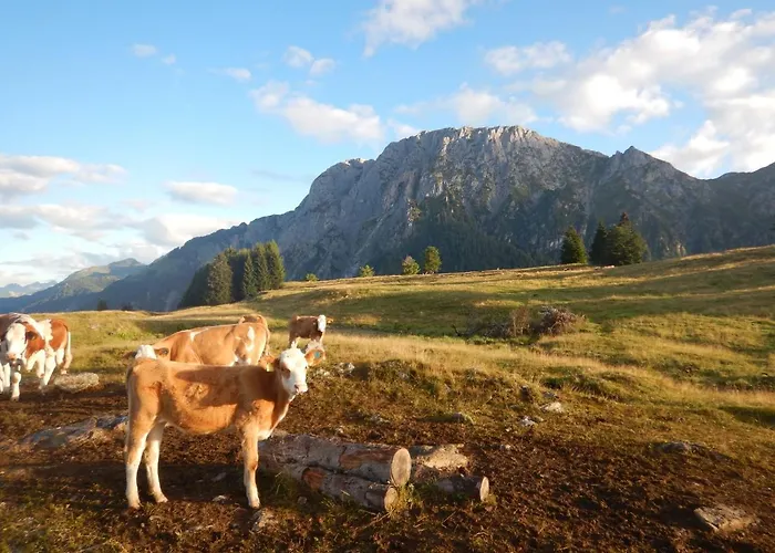 Apartment Forellenhof Waldner