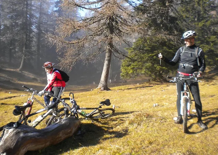 Forellenhof Waldner Gundersheim