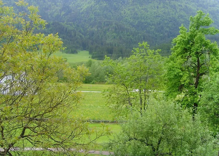 Forellenhof Waldner Apartment *